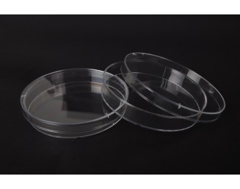 PETRI DISH